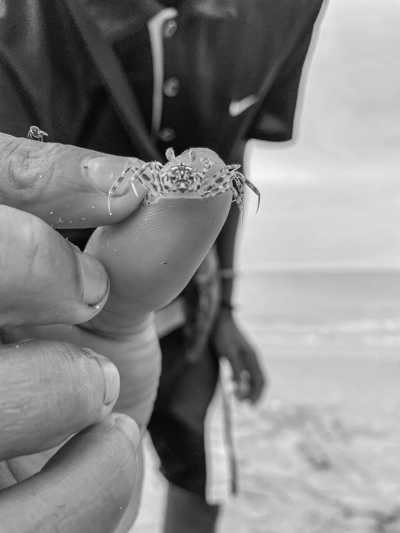 Sao Tome and Principe - São Tomé and Príncipe - Travel to São Tomé and Principe: Africa’s Hidden Paradise Must Explore - 2