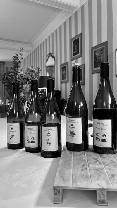 Italien - Bazzano - Incredible Food Tour in Italy: Parmigiano, Prosciutto, Balsamic Vinegar, Gelato & Wine