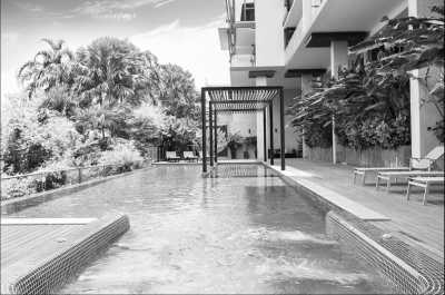 Thailand - Phuket - Swimming with Elephants and Snorkeling in Phuket, Thailand: Island Paradise, Majestic Elephants, Spectacular Snorkeling, and Local Cuisine - 16