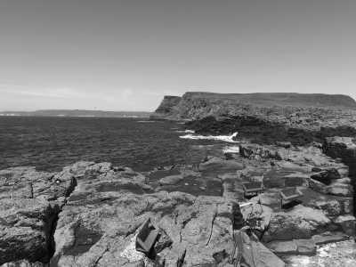 Vereinigtes Königreich - Rathlin Island - Northern Ireland's Ultimate Adventure: 2-Day Trip of Giant’s Causeway & Rathlin Island - 1