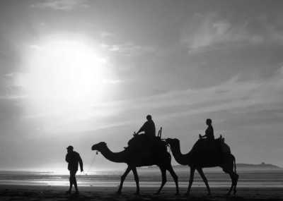 Morocco - Plage d'Essaouira - Coworking and Coliving Experience in Essaouira, Morocco: Luxury Villa Coworking Space - 1