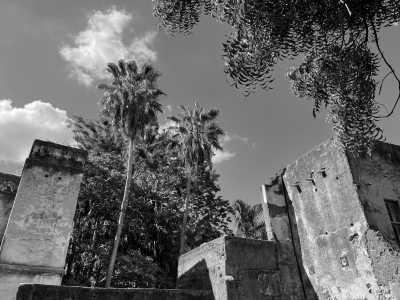 Tanzania - Stone Town - Zanzibar Coworking Experience: Your Journey Starts Here - 2