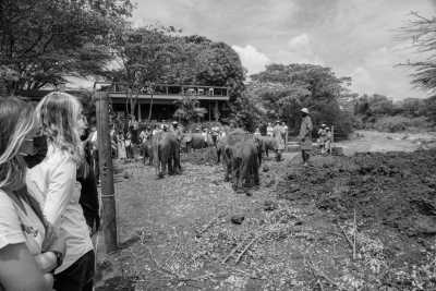 Kenia - Lake Elementaita - 7 Days Safari in Nairobi, Kenya along Lake Elmenteita and Lake Nakuru to Maasai Mara - 1