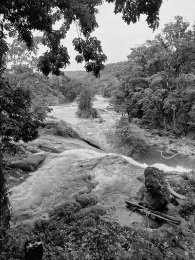 Mexiko - Palenque - Day of the Dead Roadtrip in Mexico - 6