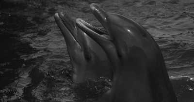 Griechenland - Gerolimenas - Sailing Greece - von Athen nach Kalamata