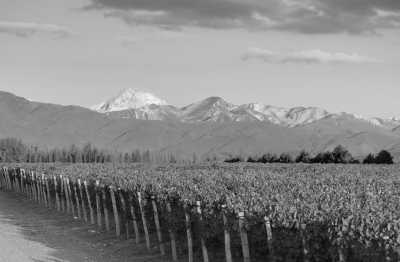Argentina - Valle de Uco - Discover Mendoza, Argentina with a local: Mountains, Wine & Food Culture and more! - 1