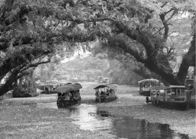 India - Alappuzha - Authentic Kerala Experience: Unveiling the Beauty of God's Own Country, India