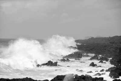 Portugal - Pico Island - Azores - meet biggest whales & wild dolphins in their natural habitat  🐋 - 6
