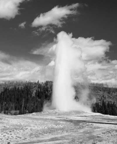 United States - Yellowstone National Park - Explore the Wonders of Yellowstone: Guided Trip in the USA's Iconic National Park - 7