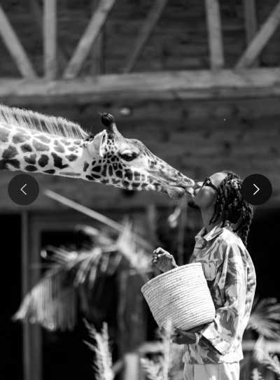 Tansania - Nyabogati - Serengeti Dreams: An Unforgettable Safari with Hot Air Balloon Magic - 3