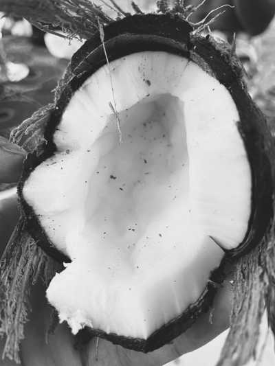 Sao Tome and Principe - São Tomé and Príncipe - Travel to São Tomé and Principe: Africa’s Hidden Paradise Must Explore - 5