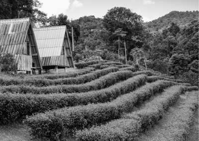Malaysia - TANAK NABALU HOMESTAY AT KG.KAUNG ULU - Discover Sabah Borneo: Immerse in Culture, Wildlife, and Nature in Malaysia