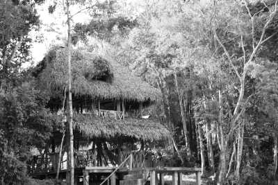 Ecuador - Reserva de producción de Fauna Cuyabeno - Jungle Immersion: 5 Days of Discovery at Cuyabeno Lodge, Ecuador