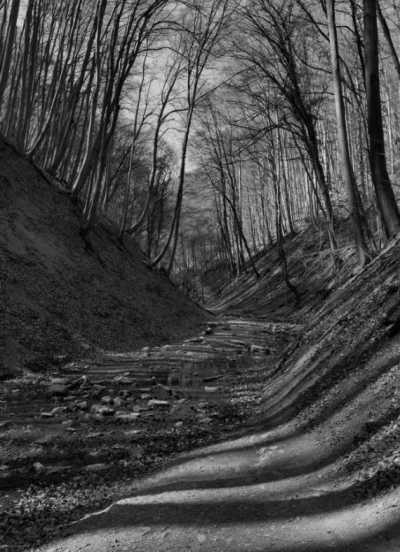 Hungary - Óbánya - Rural Roadtrip - Winter Hungary - Culture, Nature, Wildlife - 2