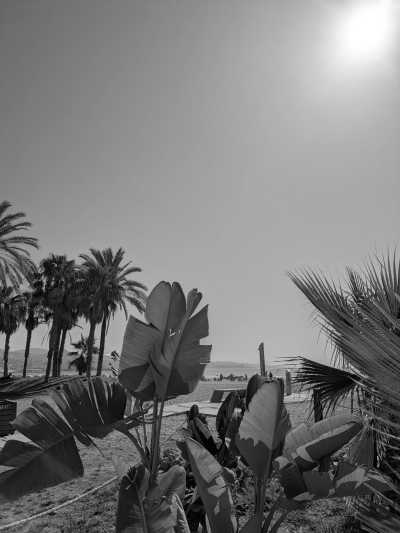 Spain - Playa de Huelin - Spain Málaga Active Escape: Pádel • Sunny Beaches • Authentic Paella Cooking Experience  • Scenic viewpoints (Private Rooms)🌄🥘🏸 - 4