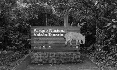 Costa Rica - Parque Nacional Volcán Tenorio - Majestic Adventures in Costa Rica: Beaches, Volcanoes, Hot Springs, Cloud Forest, and Pura Vida Lifestyle! - 3