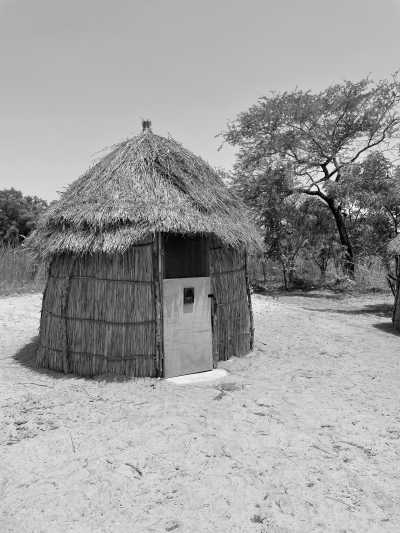 Gambia, The - Jinack Island - Feel The Gambia 🇬🇲 The smiling coast of Africa - Roundtrip - 4