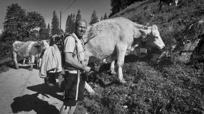 Germany - Jenner - A Magical Experience | Hiking & camping in German Alps | Walkshop Light | Berchtesgadener Land | Königsee | 5 days - 12