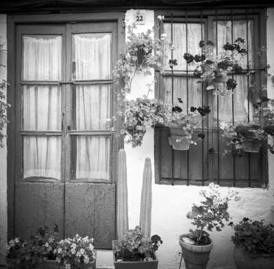 Spain - Córdoba - The best of Spain's Andalusia in 4 days: architectural beauty, splendid weather and colorful gastronomy!