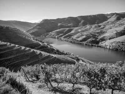 Portugal - Douro - Discovering Douro Valley Gems - The wines, Salling, Gastronomy and Nature - 1