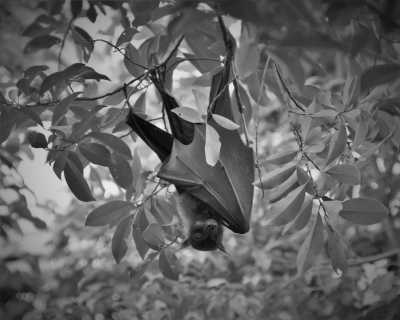 Denmark - Randers - Discover the Danish Soul 🌾 - Explore Jylland Like a Local - 3