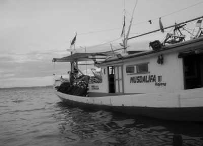 Indonesia - Labuan Kertasari - 🇮🇩 Indo Ocean Tribe-Surf Retreat | Kertasari - 5