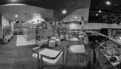 Australia - Pink Flamingo Spiegelclub - Gold Coast Attractions - Gold Coast Getaway, Australia - Strictly for Adventurers/Thrill Seekers - City, Forest and Sea 🌃ִ🏄‍♂️🌴🌞 ✨ - 2