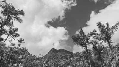 Puerto Rico - El Yunque National Forest - Beach Bliss and Culture Kiss: Puerto Rico Adventure