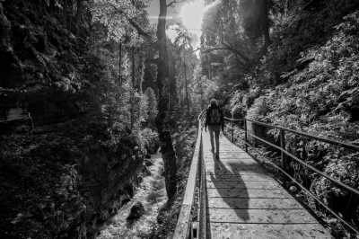 Germany - Breitachklamm - Step into the Flow | Oberstdorf | Allgäu | Neuschwanstein | German Alps | 3 days - 1