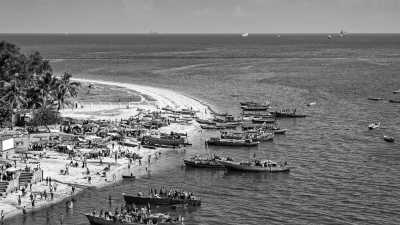 Tanzania - Tanzania National Parks - Explore and Delight in Tanzania: Your Ultimate Travel Destination within top three among the world - 6