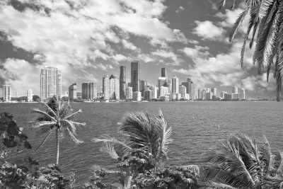 United States - Miami - Exploring the pure Lifestyle in Miami during Spring Break Season 🇺🇸🏝🏎🛥👙🩳 - 2