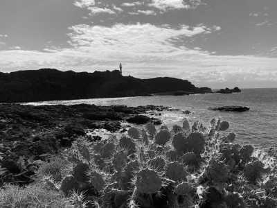 Spain - Punta de Teno - Enjoy the nature of Tenerife 🌴 Hike to beautiful viewpoints, jump into natural volcanic pools and explore its Nationalparks! - 3