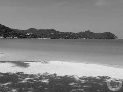 Thailand - Ko Pha Ngan - 🇹🇭 Thailand entdecken (Teil 1) - Südthailand: Inseln, Meer & Party - Bangkok, Koh Tao, Koh Phangan, Koh Phi Phi, Krabi 🏯🌅🌴🍺🇹🇭 - 6