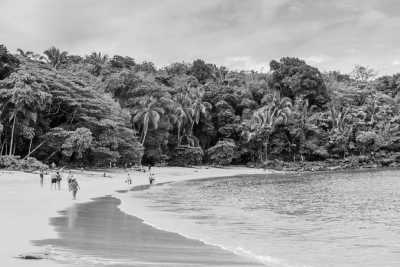 Costa Rica - Best of Guanacaste Costa Rica - JoinMyTrip