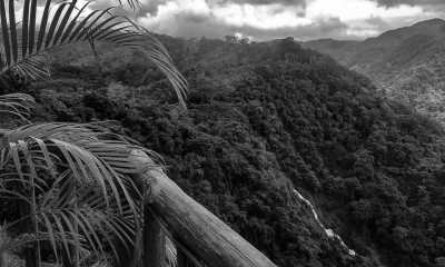 Costa Rica - Punta Leona - Majestic Adventures in Costa Rica: Beaches, Volcanoes, Hot Springs, Cloud Forest, and Pura Vida Lifestyle! - 12