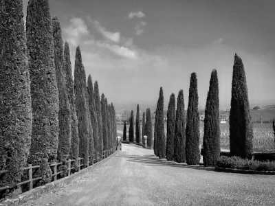 Italien - Ficulle - 2 SPOTS LEFT!!! Gastro Tuscany & Umbria IV EDITION💚Full Italian Experience WITH A LOCAL exploring hidden gems🙋‍♀️*Far from turist traps! Amazing gastronomy, medieval festival, nature and unforgettable experiences with locals and inetrational people😍 - 7