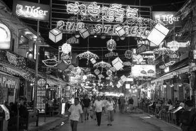 Cambodia - Krong Siem Reap - Natural Cambodia - 🐾 a trip that no one has ever taken ⚡ (Angkor temples, capital, jungles and relax at the Island are included!) - 5