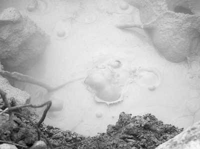 Costa Rica - Parque Nacional Rincón de la Vieja - COSTA RICA-FIRE, EARTH AND WATER ESCAPADE  TRIP - 3