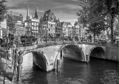 Netherlands - Amsterdam Exploration and Dutch Nature Discovery: Local Guide and 2 Huskies - JoinMyTrip