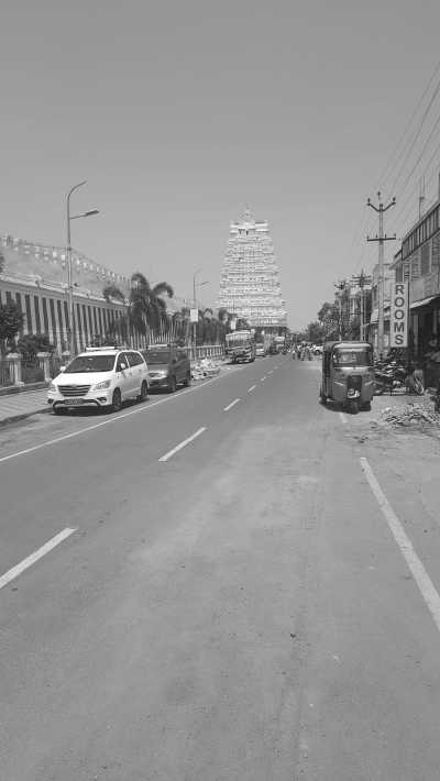 India - Tiruchirappalli - Ancient South India: Experience the Exotic Ancient Temples and Enticing Hills of Tamilnadu - 27