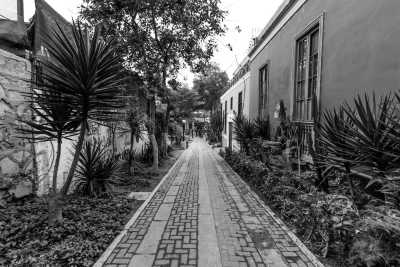 Peru - Barranco - Lima's Culinary Odyssey: Join us on a Foodie's Dream Journey in Peru! - 2