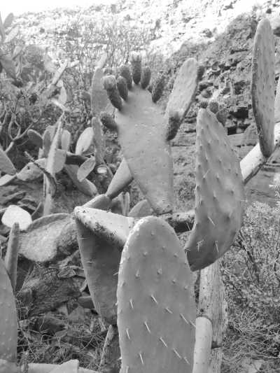 Spain - Arinaga - Wing Foil, Windsurfing, and Surfing in Gran Canaria, Escape the European Winter in Canary Islands - 8