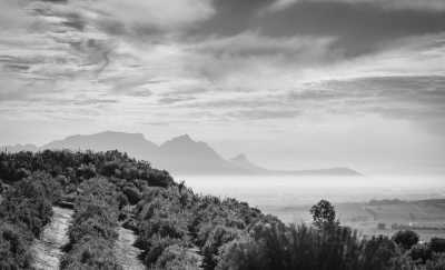 South Africa - Stellenbosch - Last Minute am Kap: Das Kap, der Wein, gutes Essen und der Rooibos - 1