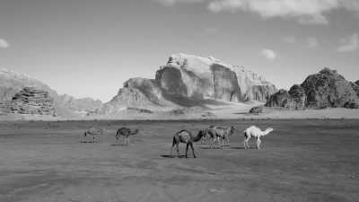 Jordanien - Wadi Rum Protected Area - Discover Jordan: Embark on an Unique Journey with Us
