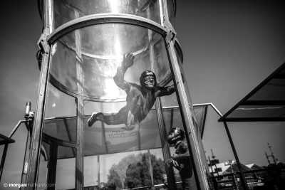 France - Le Castellet - Unforgettable Summer in the South of France: Countryside Accommodation near Marseille, Aix-en-Provence, and the French Riviera - 4