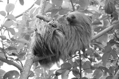 Costa Rica - La Fortuna - Girls trip in Costa Rica!💕 City, beach, waterfall, volcanoes and lots of new energy! 🌞⛰️🏖 - 3