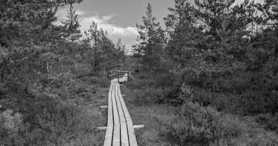 Northern Europe - Nationalpark Ķemeri - Riga and Vilnius kennenlernen - Kultur, Natur und Mehr! - 4