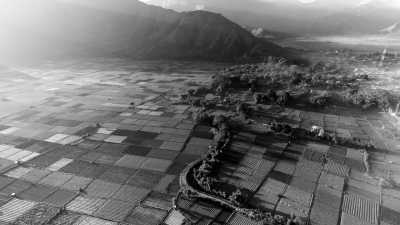 Indonesien - Canggu - *Returning Tripmates only* A Thrilling Tour to Indonesia's Most Beautiful Islands: Unforgettable Liveaboard Experience, Seaside Glamping and Relaxation in a Beachfront Villa (INDONESIA TRIP - PART I) - 1