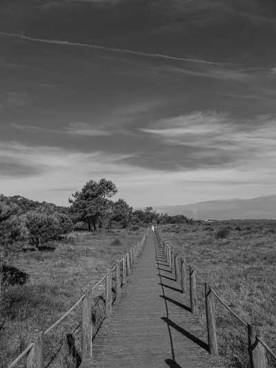 Southern Europe - Antas Guest House (Villa) - A Slow and Soulful Walk on the Portuguese Coastal Camino - 2