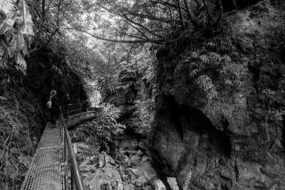 Portugal - Ribeira Grande - Azores Nature Immersion 🥾 - 1